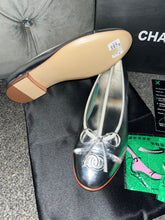 Load image into Gallery viewer, Silver Flats