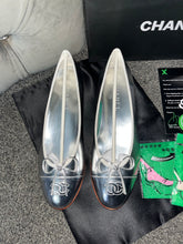 Load image into Gallery viewer, Silver Flats