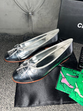 Load image into Gallery viewer, Silver Flats