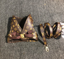 Load image into Gallery viewer, Leather Harness &amp; Lead
