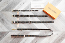Load image into Gallery viewer, Leather Collar &amp; Lead Set

