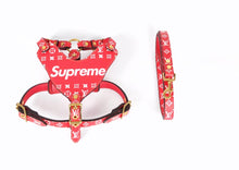 Load image into Gallery viewer, Leather Harness &amp; Lead Set
