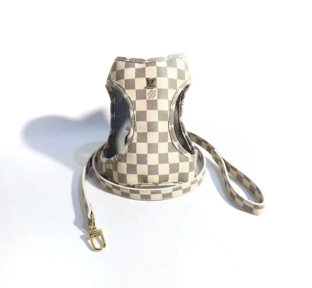 Leather Harness & Lead