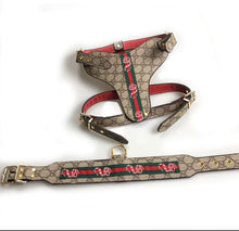 Load image into Gallery viewer, Leather Harness &amp; Lead Set
