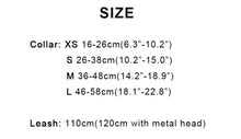 Load image into Gallery viewer, Leather Collar &amp; Lead Set
