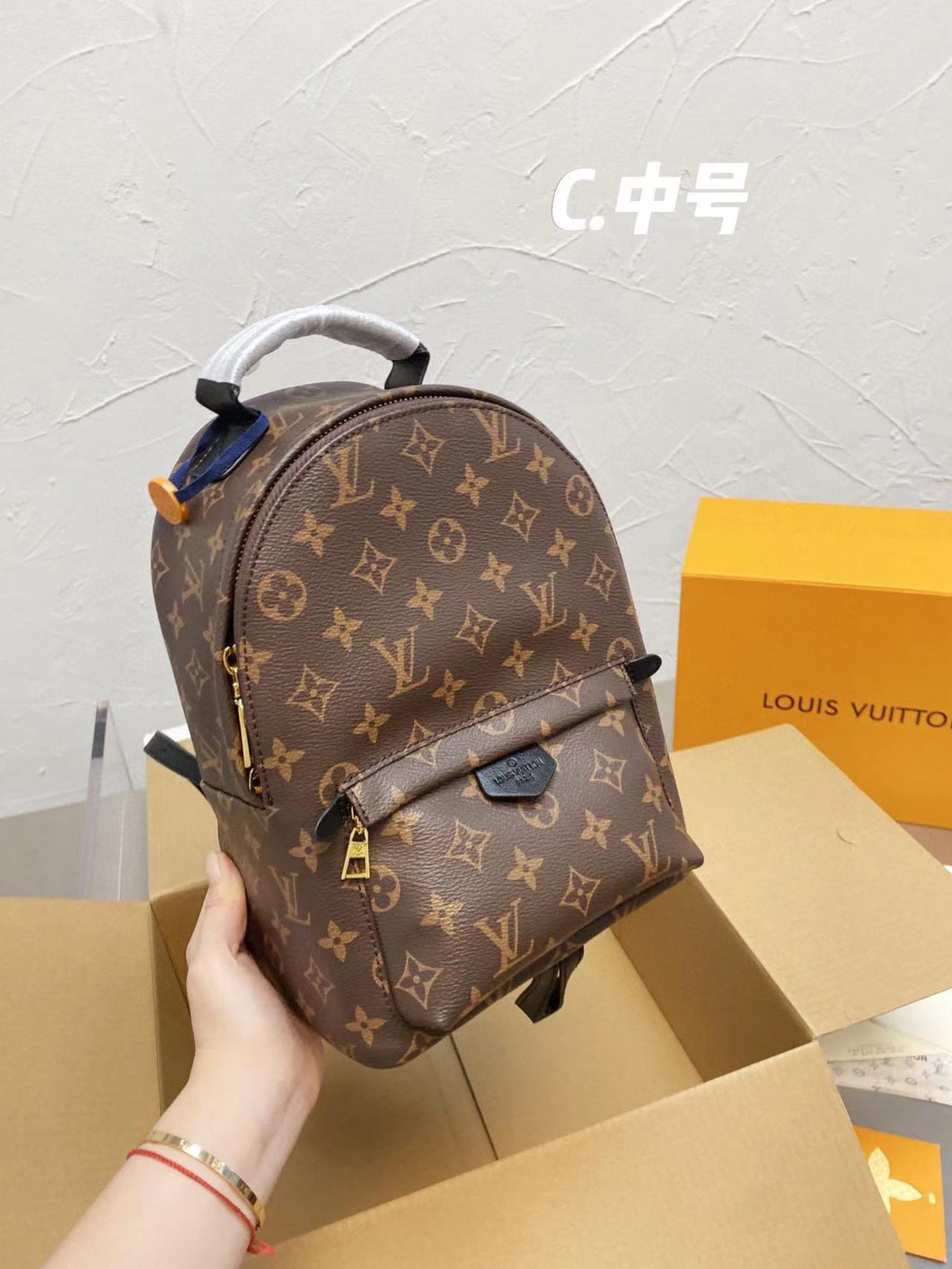 Louie Brown Back Pack