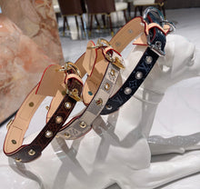 Load image into Gallery viewer, Leather Collar &amp; Lead Set
