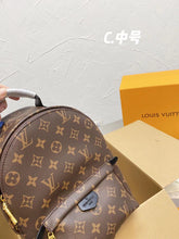 Load image into Gallery viewer, Louie Brown Back Pack
