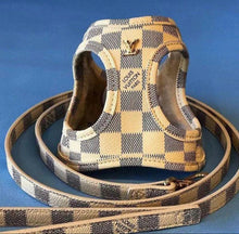 Load image into Gallery viewer, Leather Harness &amp; Lead
