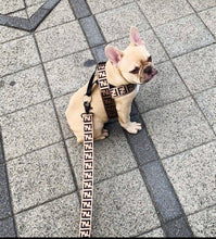 Load image into Gallery viewer, FIFI Harness &amp; Lead
