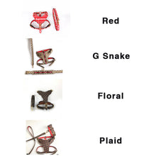 Load image into Gallery viewer, Leather Harness &amp; Lead Set
