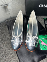 Load image into Gallery viewer, Silver Flats
