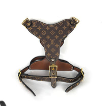 Load image into Gallery viewer, Leather Harness &amp; Lead Set
