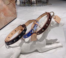Load image into Gallery viewer, Leather Collar &amp; Lead Set
