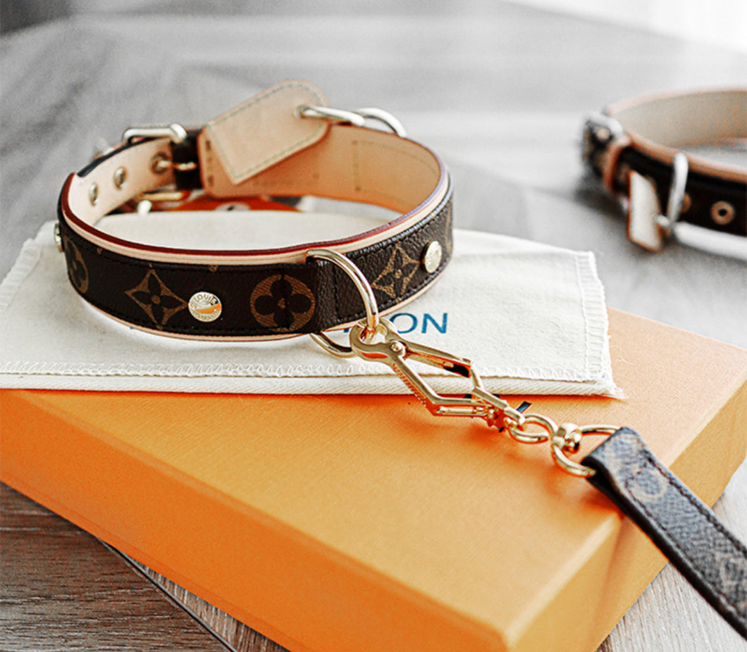 Leather Collar & Lead Set