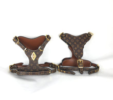 Load image into Gallery viewer, Leather Harness &amp; Lead Set

